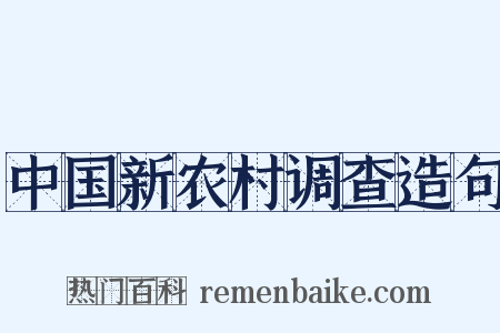 中国新农村调查造句是什么意思的图片